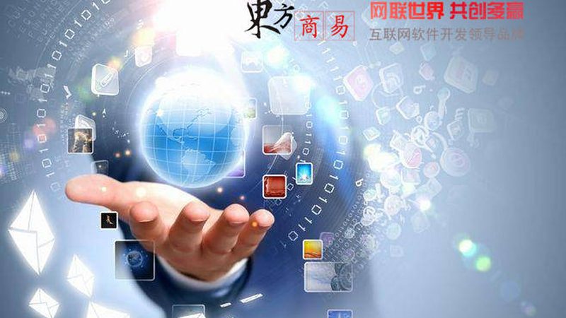 前端与后端开发：上海市场的招聘差异解析
